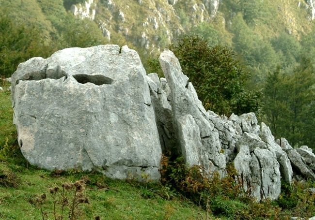 Sculture naturali